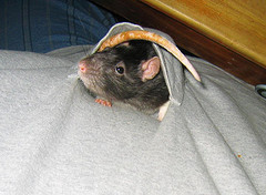 Got Mins...in pocket