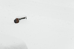 And one day, the family stopped caring about you