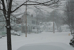 Beautiful day in the neighborhood