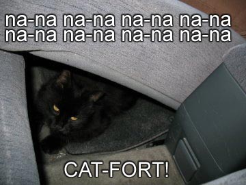 catfort