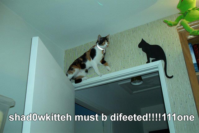 shadowkitty