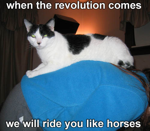 Preston - revolution