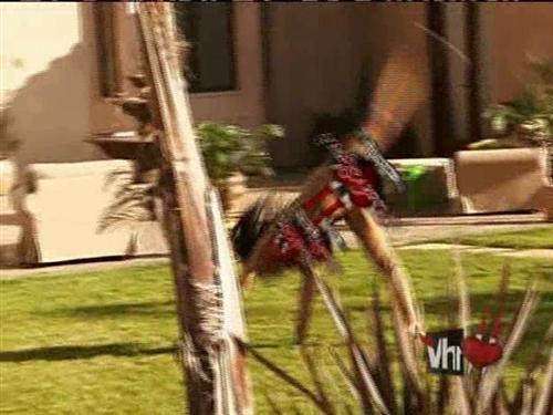 I bet that lawn smells like a slaughterhouse on a Friday night now. Beef everywhere.